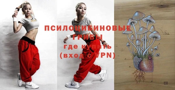 ПСИЛОЦИБИНОВЫЕ ГРИБЫ Алексеевка
