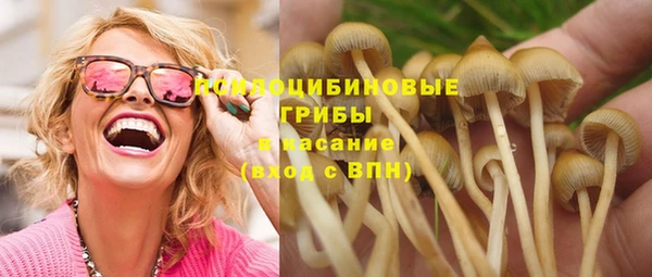 ПСИЛОЦИБИНОВЫЕ ГРИБЫ Алексеевка