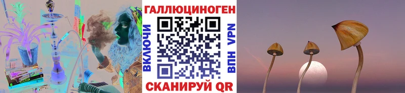 где можно купить   Сольвычегодск  Псилоцибиновые грибы ЛСД 